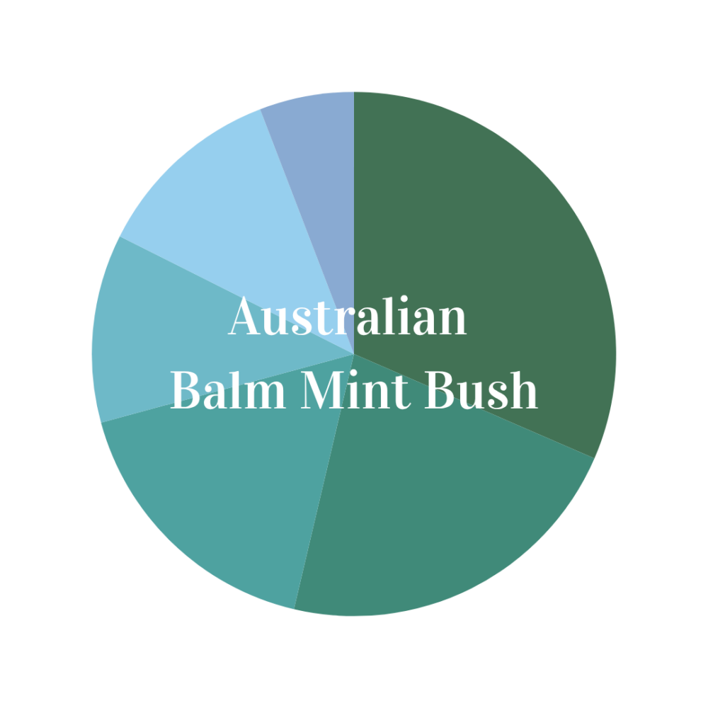 Effect Aroma〝Australian Balm Mint Bush〟の香りについて