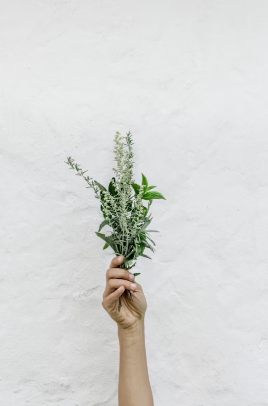 花粉にはこれっ！